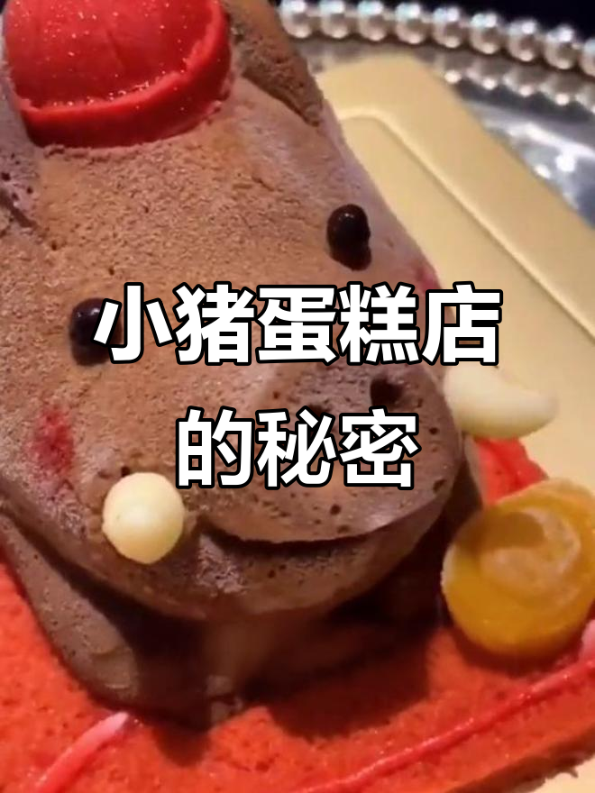 上海网红小猪蛋糕店,猪鼻子里藏金币?