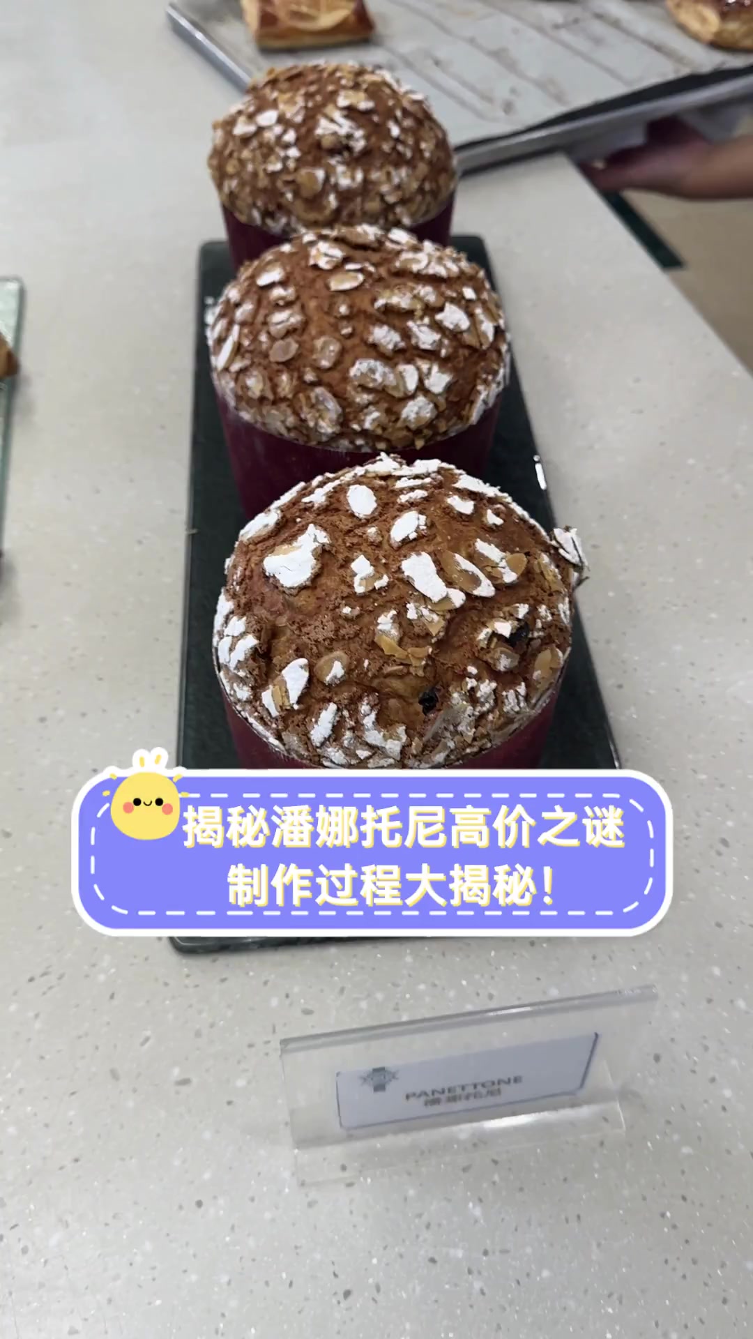 揭秘潘娜托尼高价之谜,制作过程大揭秘!