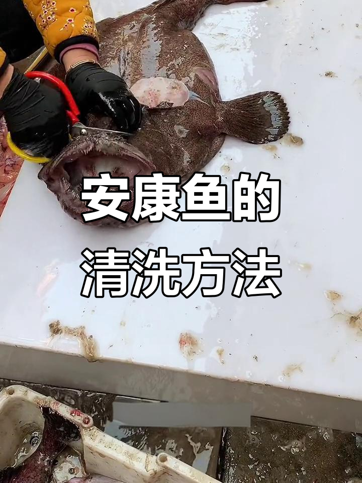 如何处理安康鱼?简单步骤教你轻松搞定