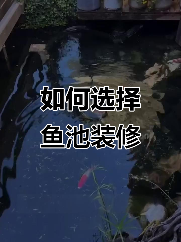 鱼池刷漆还是贴瓷砖?三招教你选对方案