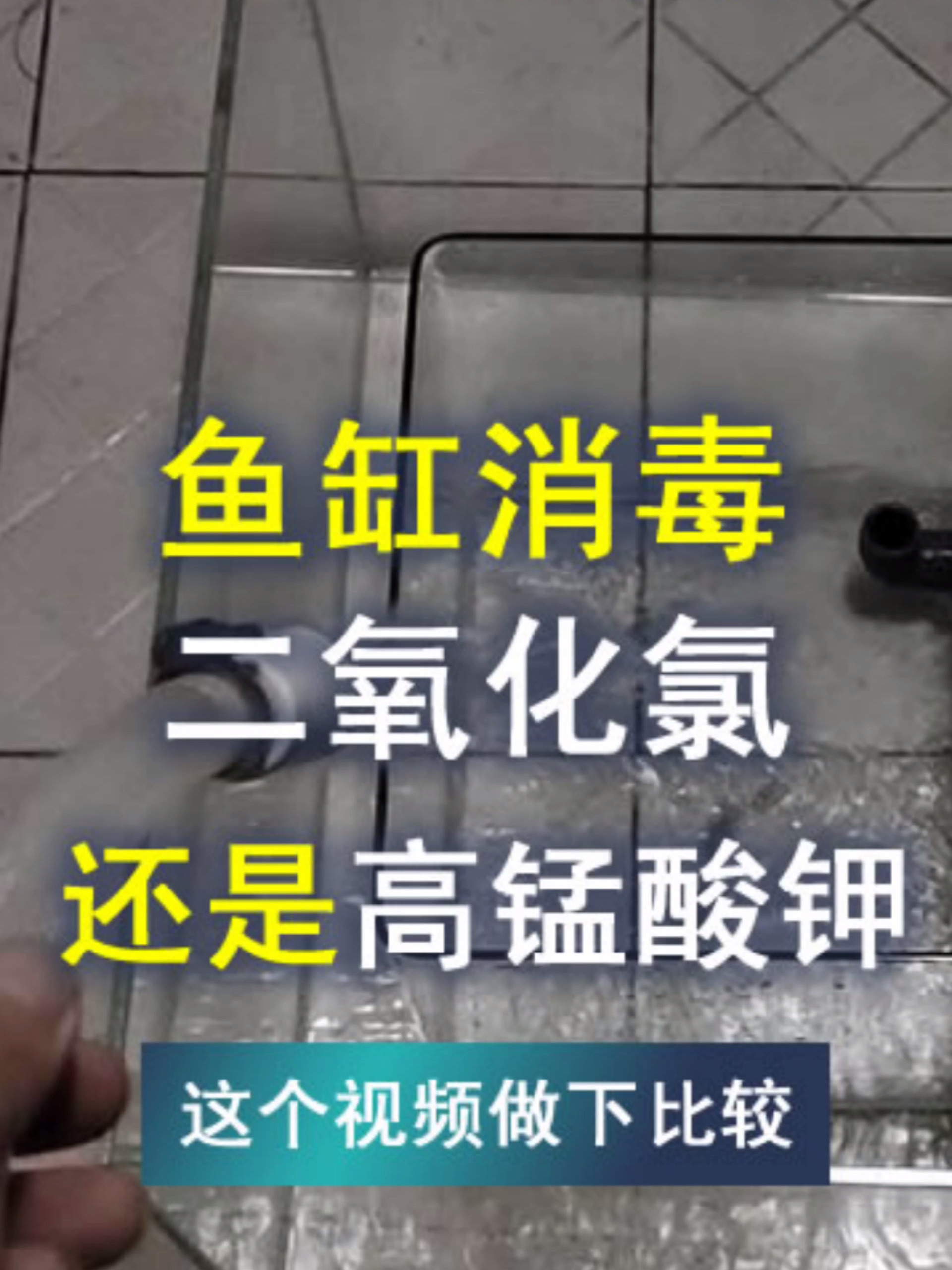 鱼缸消毒你用什么,什么消毒更方便、更放心