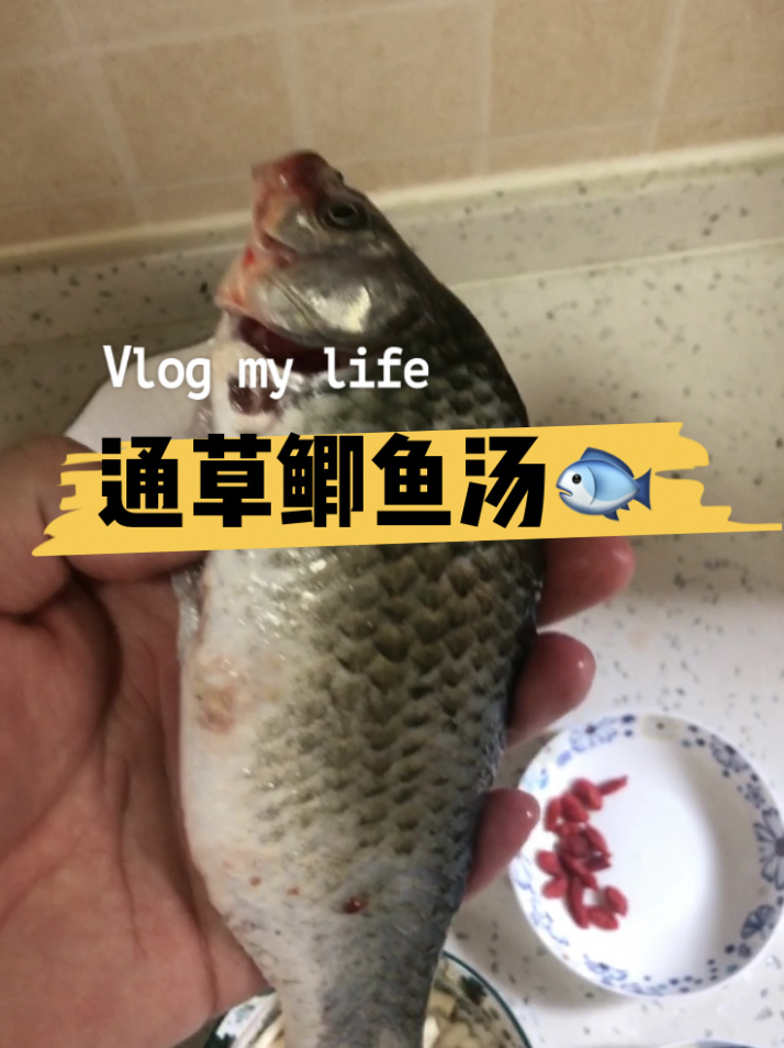 下奶神汤-通草鲫鱼汤