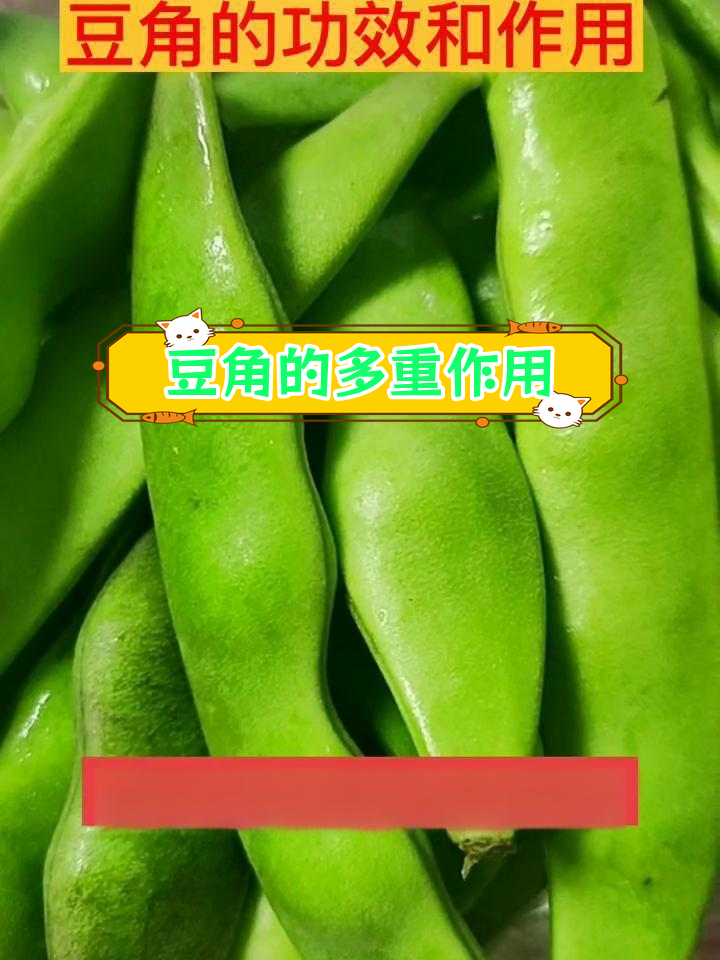 豆角的健康益处与功效