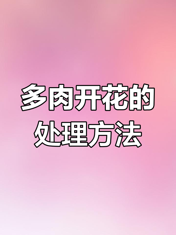多肉开花后怎么办?有些品种会枯萎,如何处理花剑