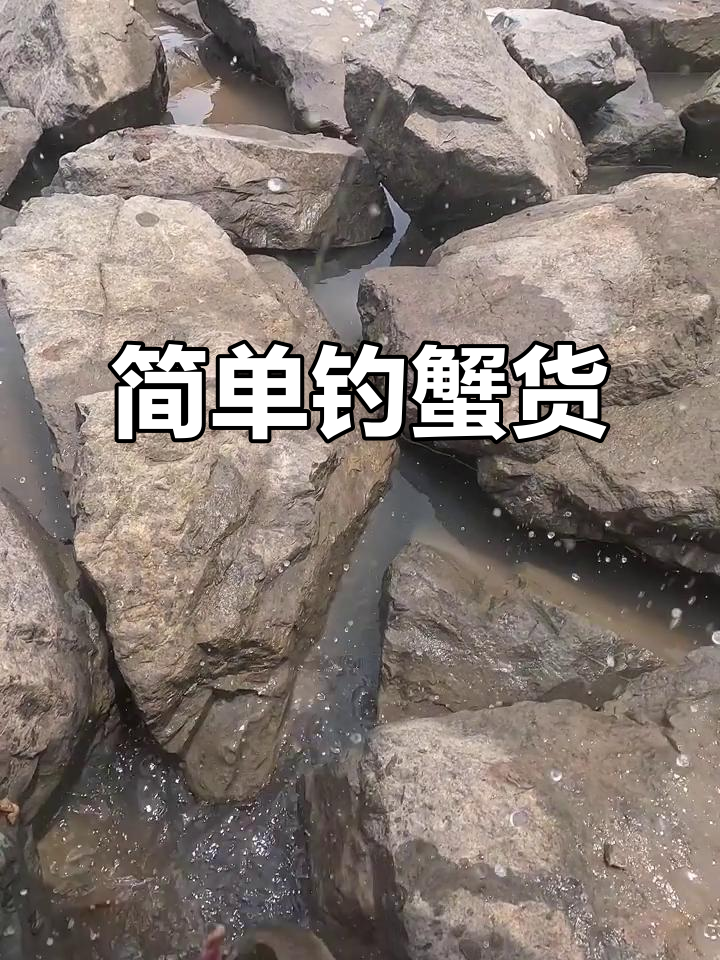 潮水涨起时,蟹虎轻松钓!海蜈蚣诱捕技巧大揭秘
