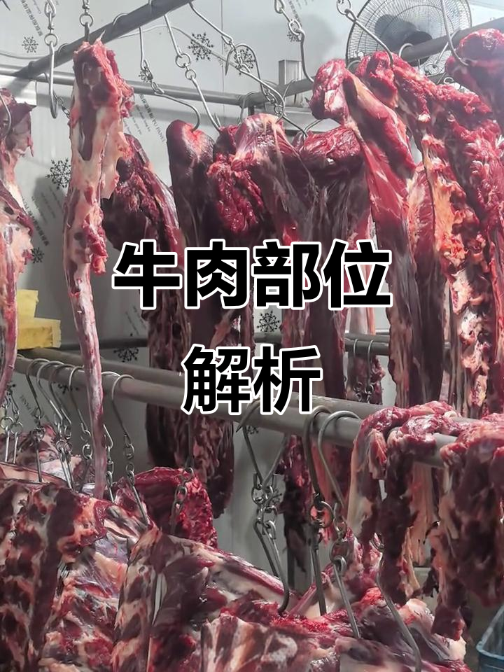 牛各部位肉质特点,烹饪方法大揭秘!