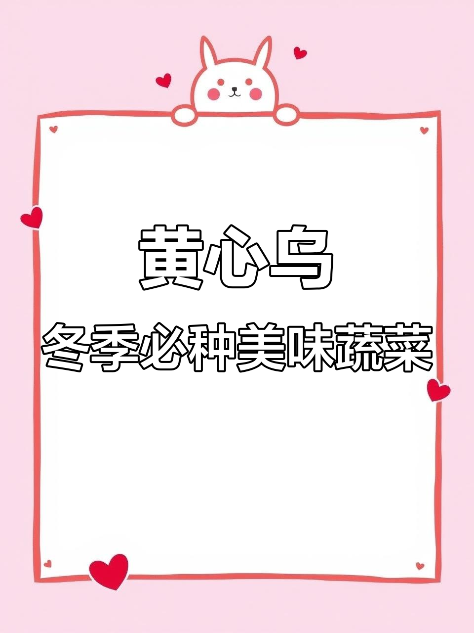 耐寒又好吃的黄心乌蔬菜，冬天也能茁壮成长
