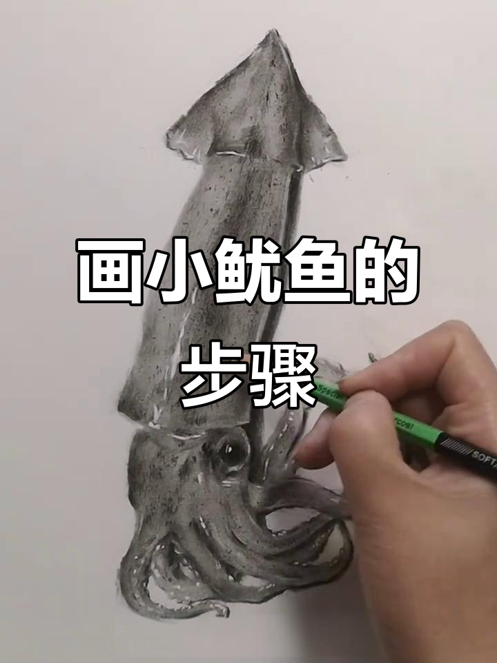 小鱿鱼素描教程:从火箭曲线到水灵质感