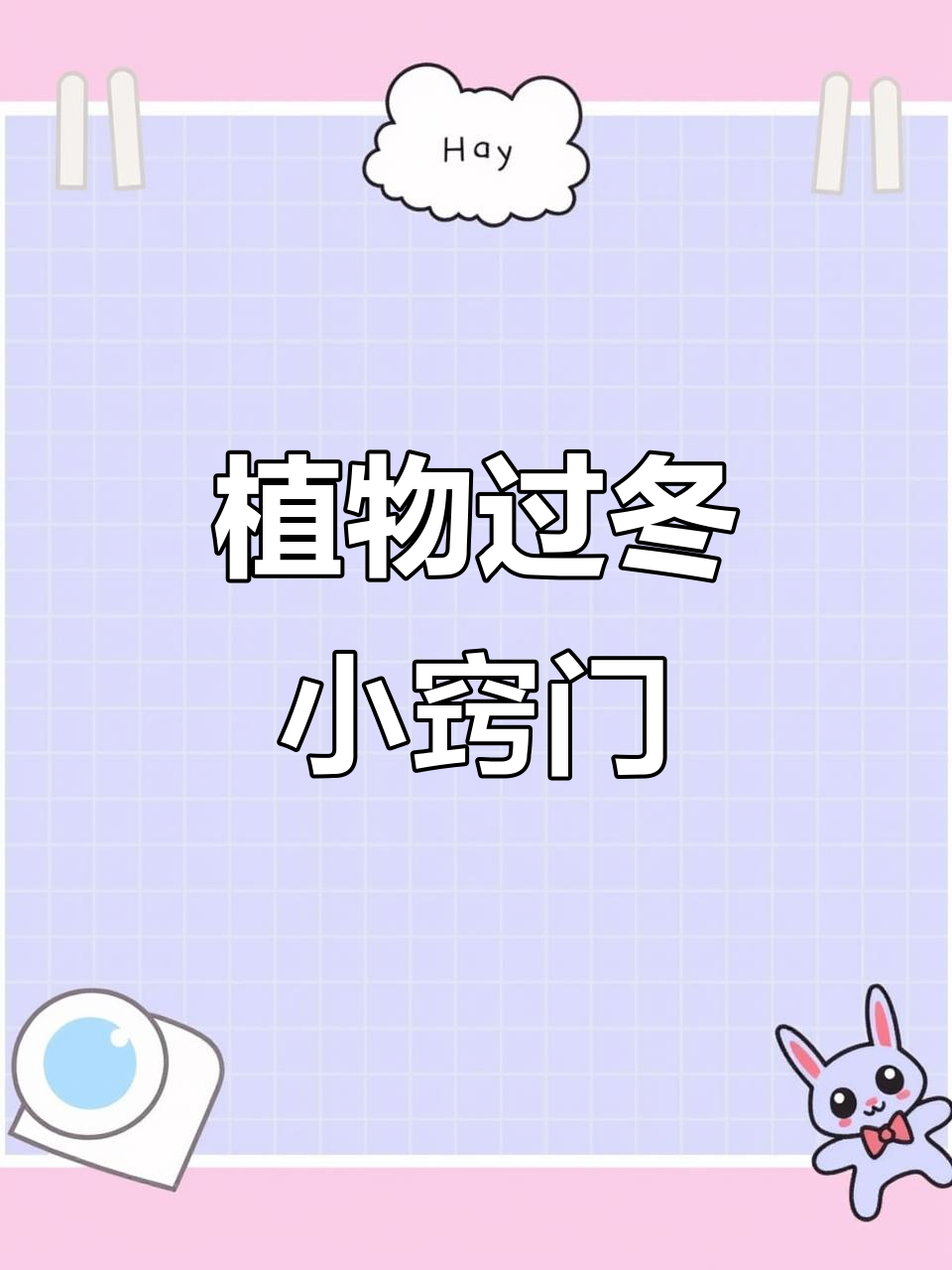 肯尼迪与晚霞耐热,但怕冷需移至室内