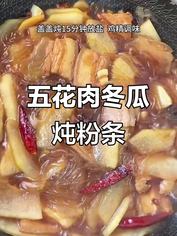 猪肉冬瓜炖粉条,简单又美味,家常下饭新选择