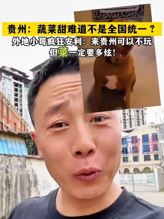 贵州人:蔬菜甜难道不是全国统一?外地小哥疯狂安利贵州蔬菜避暑度假到贵州来贵州爽一夏来源