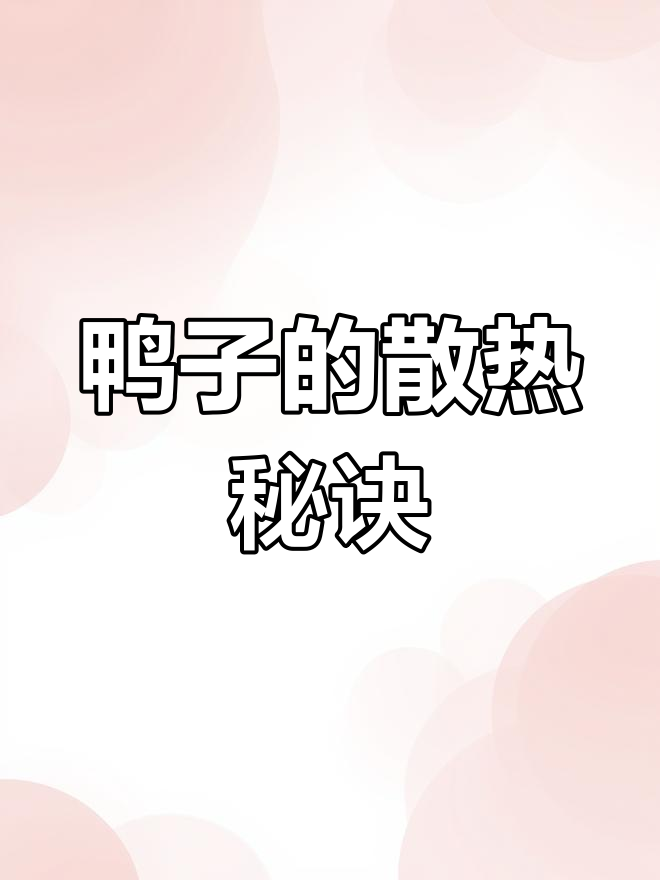 鸭子靠呼吸散热,张嘴表示它热得不行!