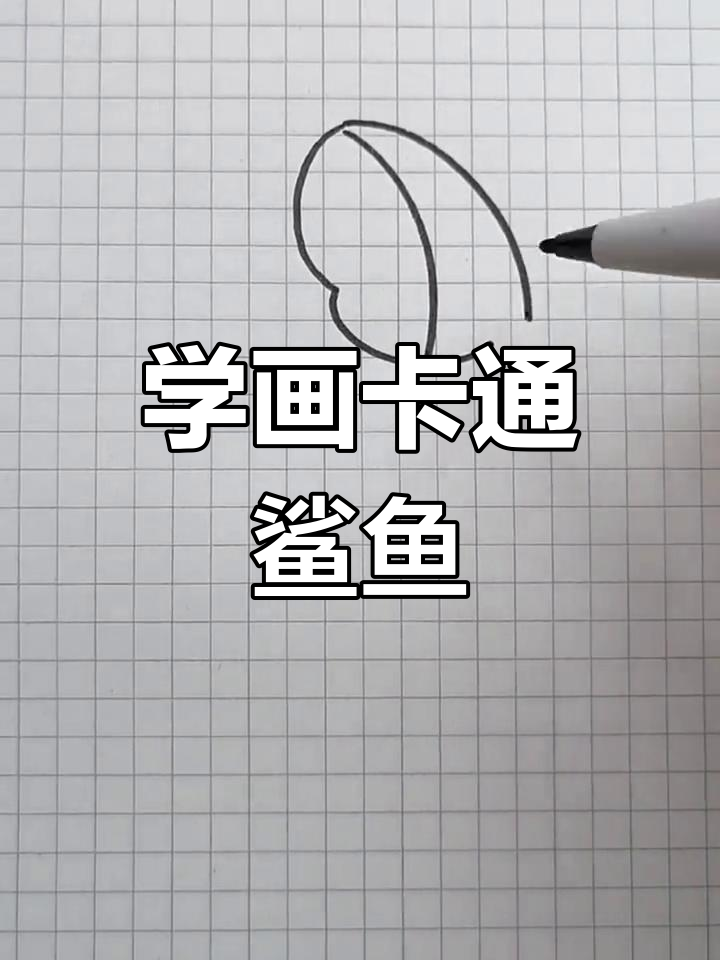 轻松学画可爱鲨鱼,简单步骤教你画出栩栩如生的海洋生物