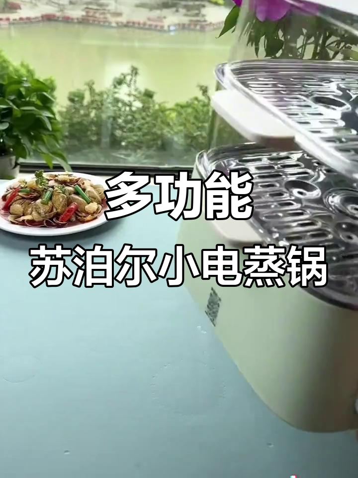 苏泊尔电蒸锅，一锅搞定蒸煮需求，轻松定时免看管