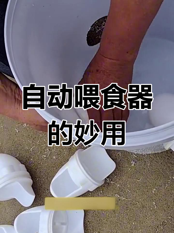 农村自制的自动喂食器,安装简单又实用