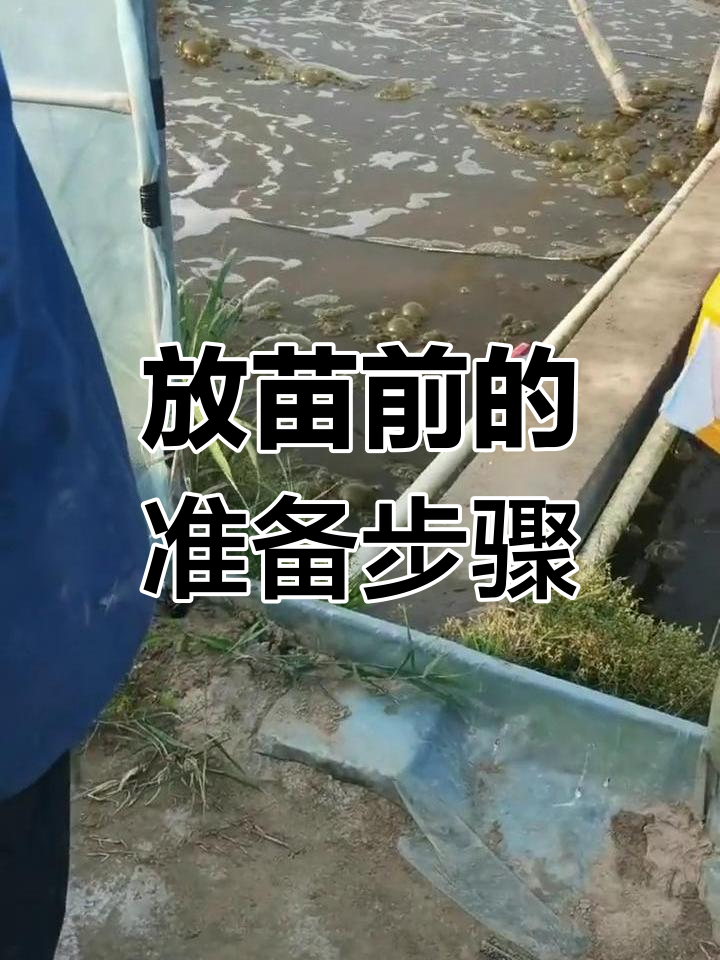 南美白对虾放苗前准备工作全流程解析