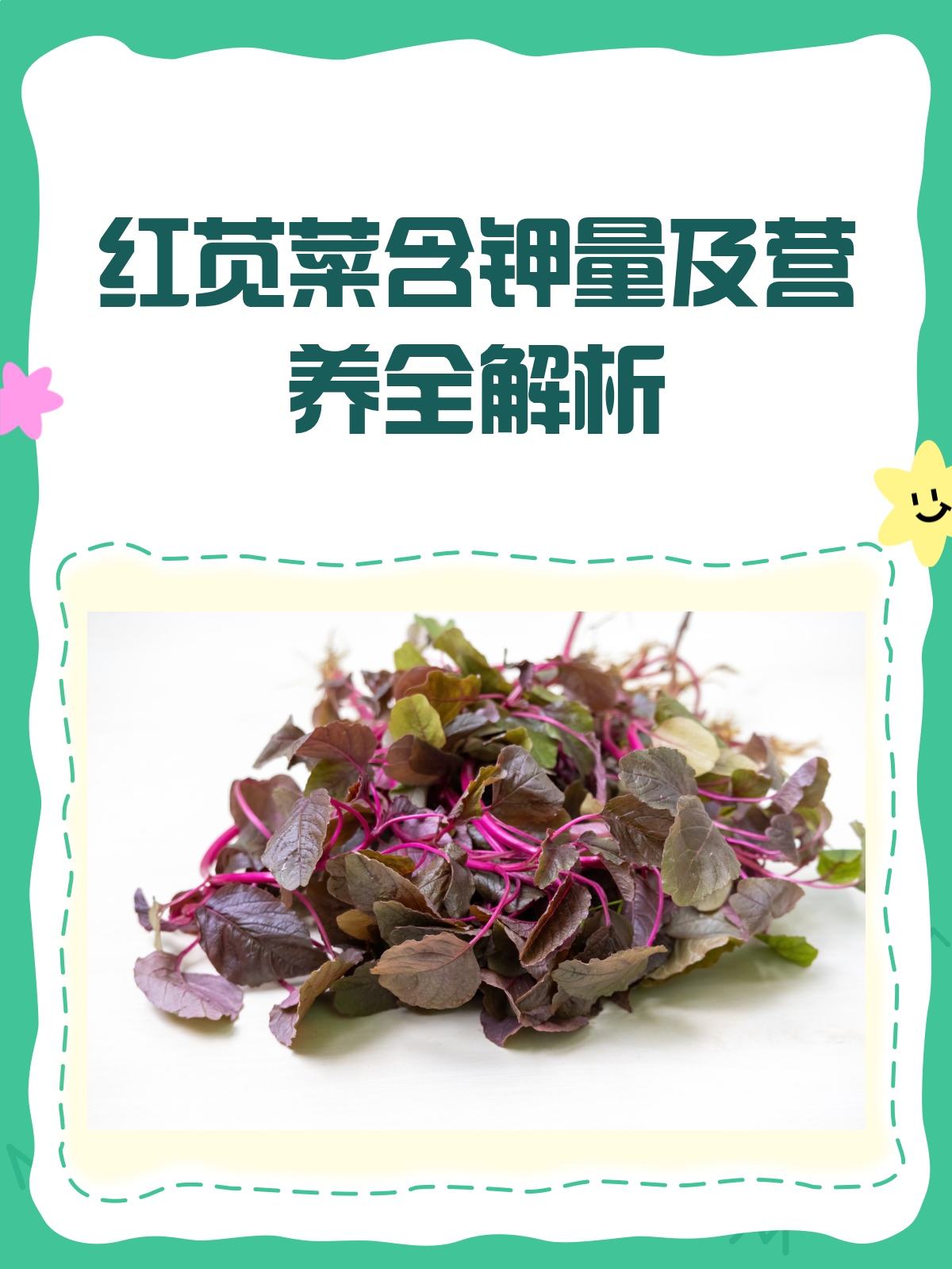 红苋菜含钾知多少?营养满满有讲究!