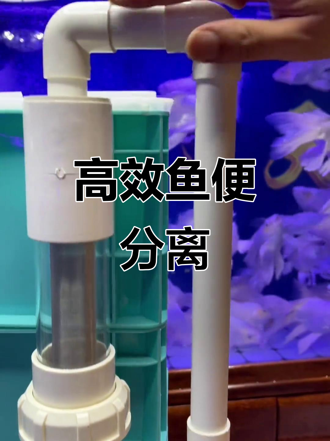 鱼马桶周转箱,彻底分离粪便,延长换棉时间