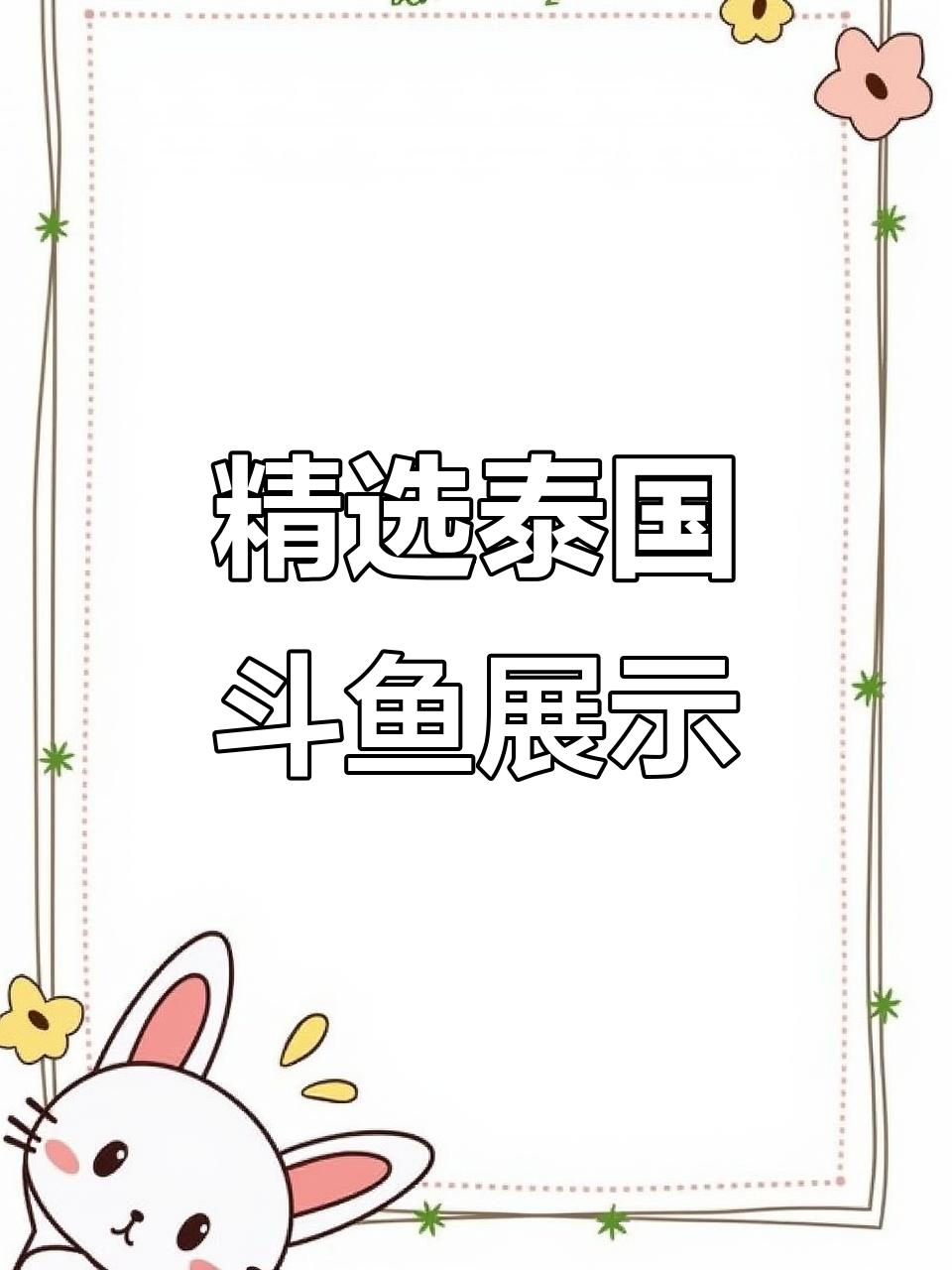 泰国斗鱼挑选大揭秘,半月、糖果色锦鲤等精彩亮相