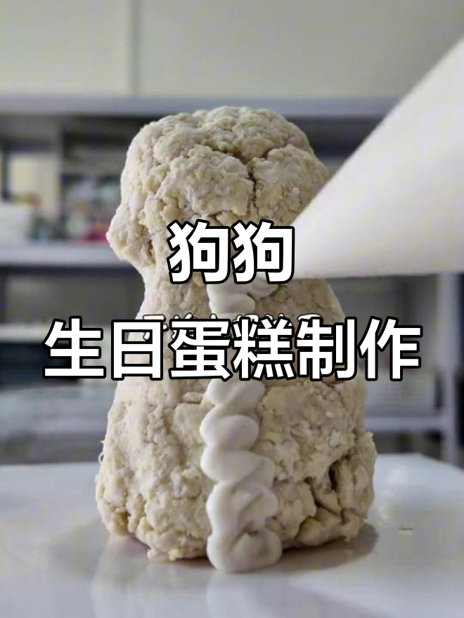 小比熊立体奶油蛋糕制作挑战,萌态十足!