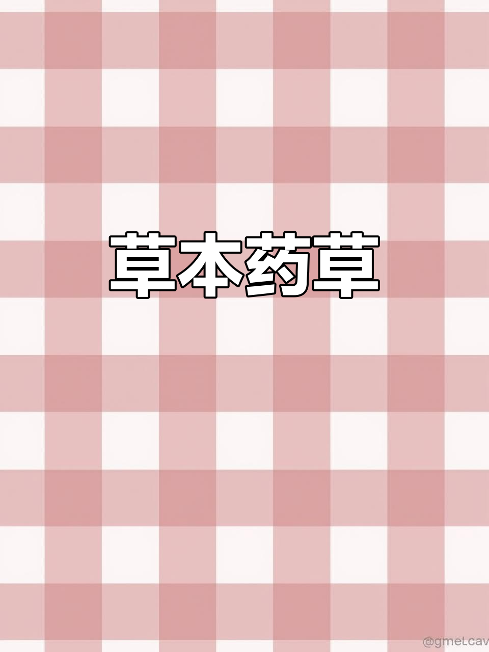 斑叶堇菜,草本植物,生长于林下草地,药用价值高