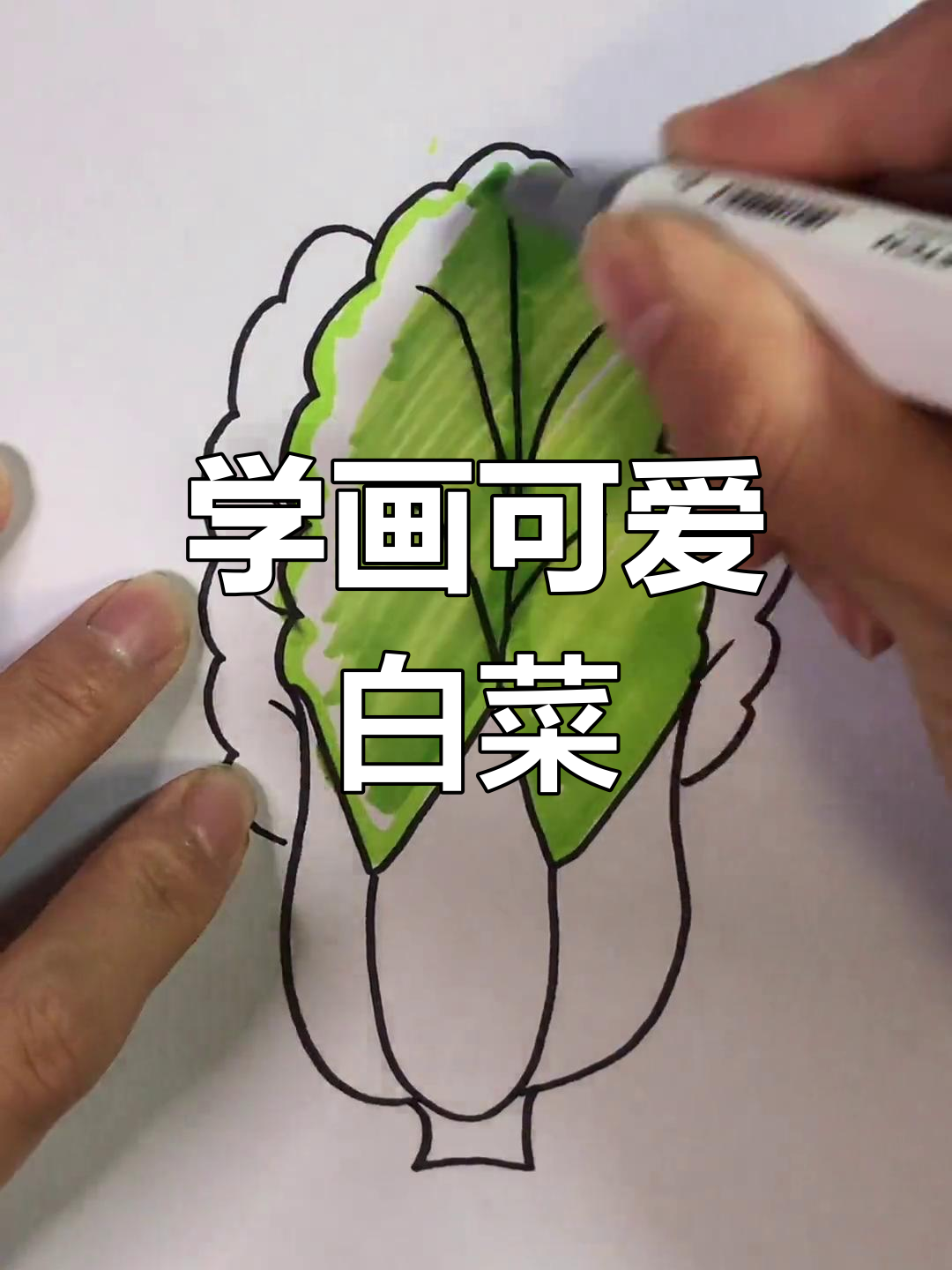轻松学画白菜，简单又有趣！