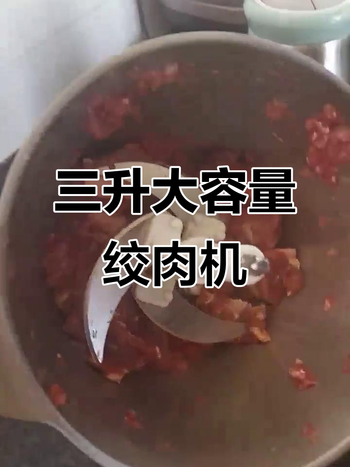 德力森三升绞肉机，纯铜内芯强力绞碎牛肉
