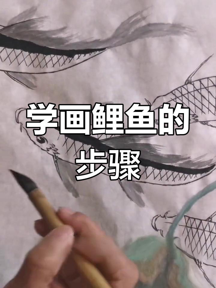 鲤鱼画法全解析：从墨线到色彩的完美过渡
