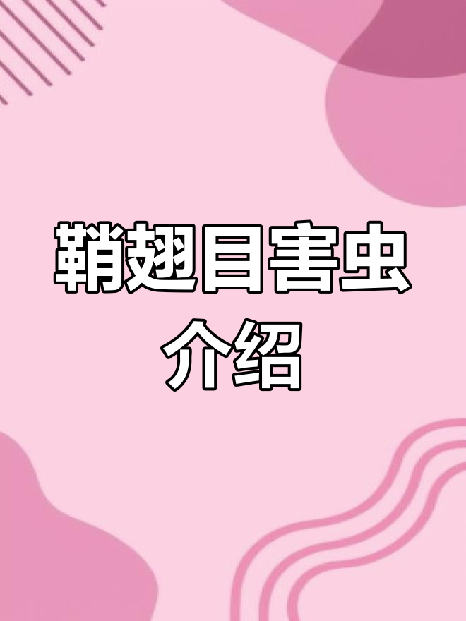 农业昆虫分类:鞘翅目解析
