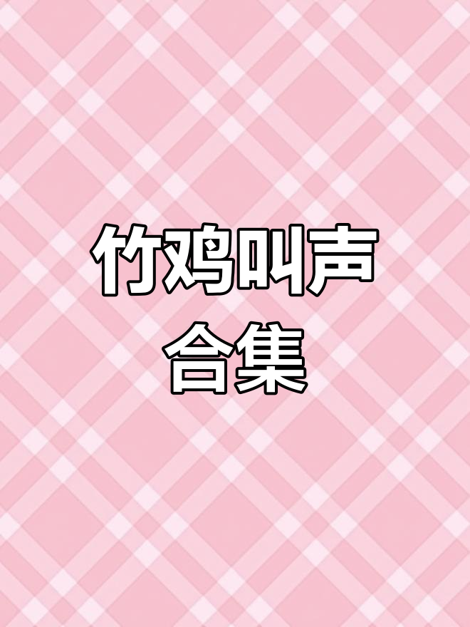 竹鸡嫩母引吭高歌,户外鸟鸣大赏