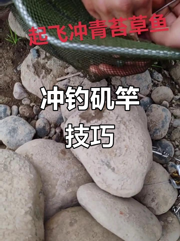 钓鱼技巧大揭秘,如何用矶竿轻松钓获
