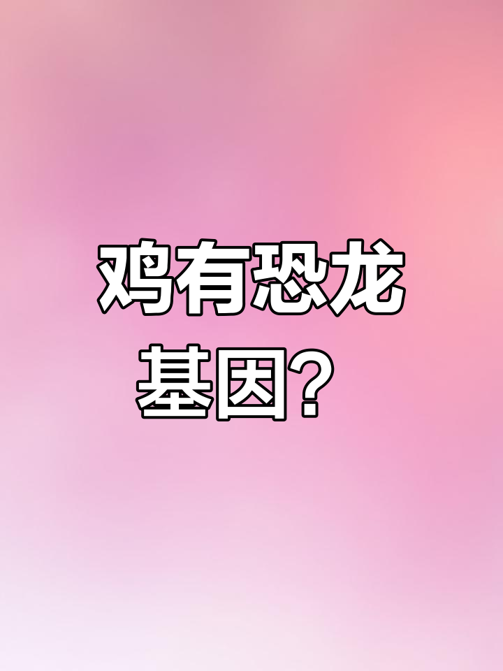 鸡与恐龙的神秘联系:基因揭示远古奥秘