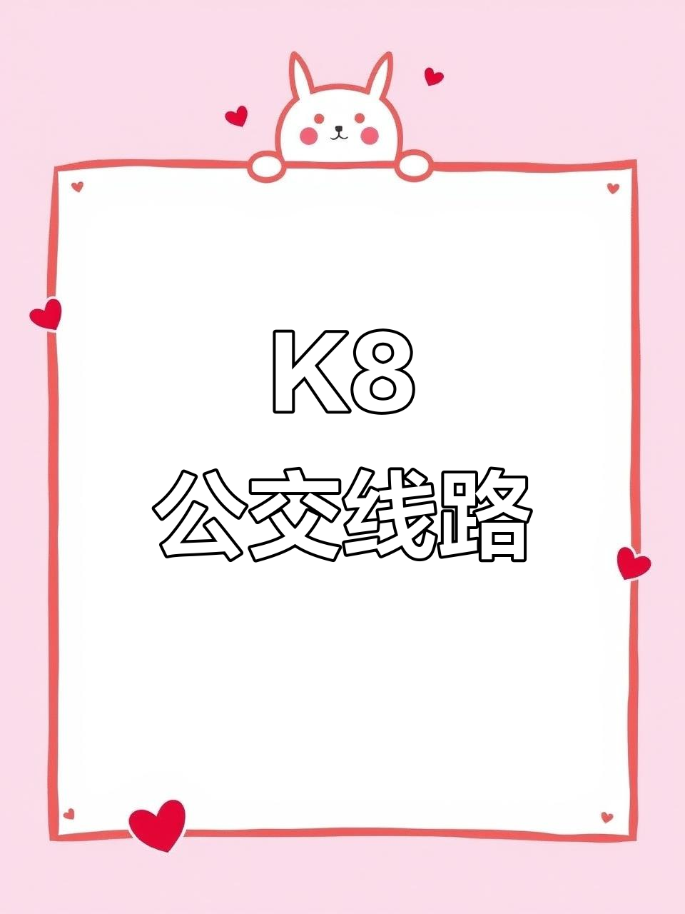聊城K8路公交,起点至驾考中心,车牌PD8201