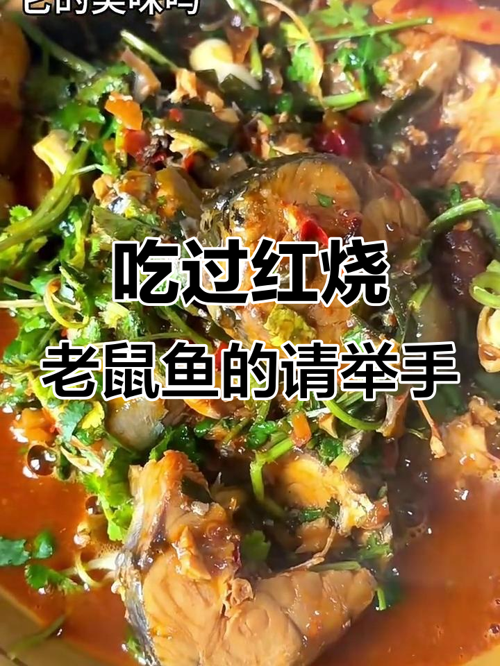 红烧老鼠鱼,吃过的举手!