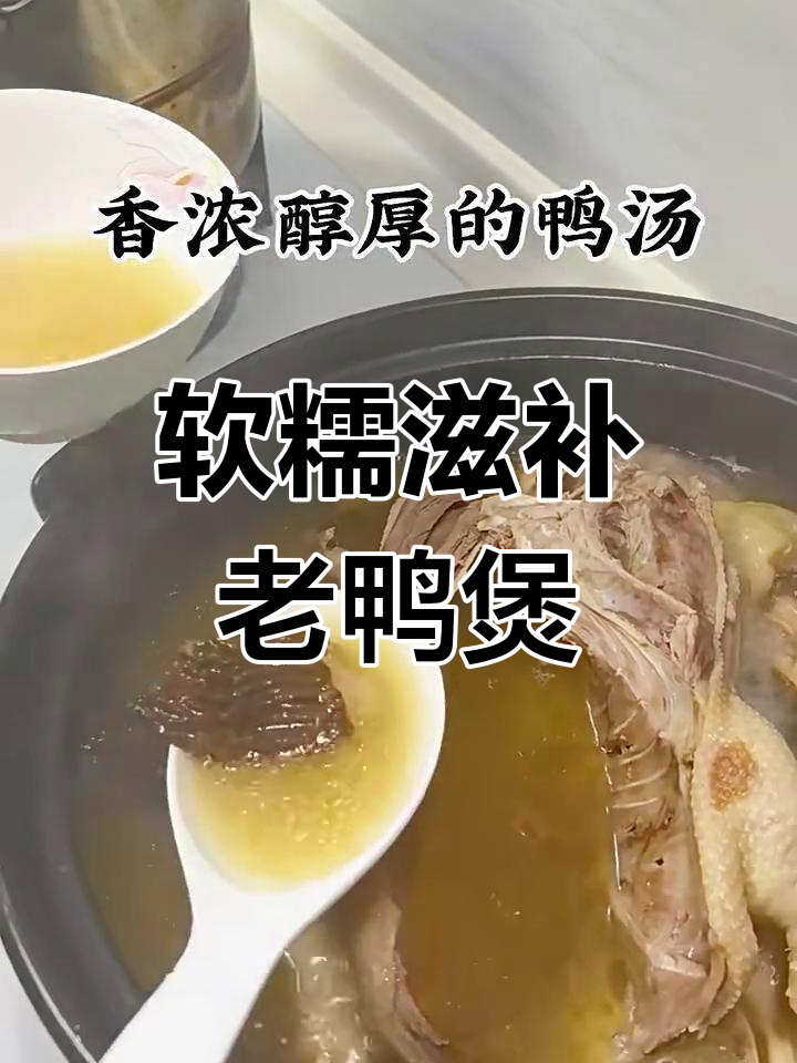 在家炖出老鸭煲,滋补又美味