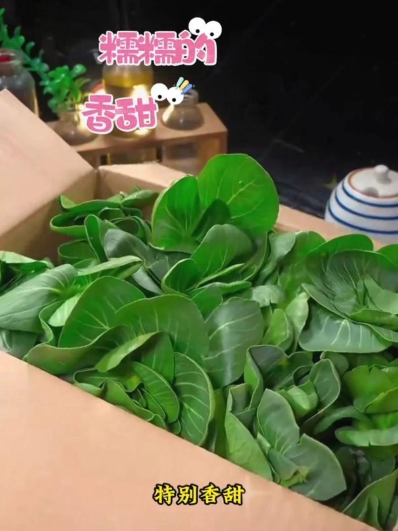白菜苔 爱生活爱美食 自己动手丰衣足食的家常菜 盐水菜心做法 白菜