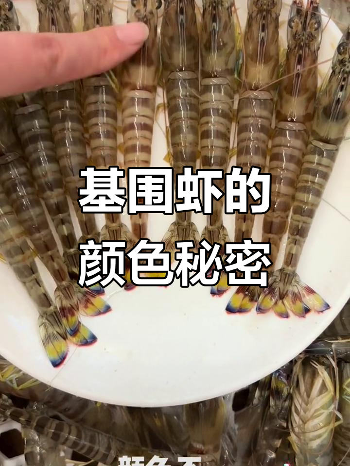 基围虾颜色各异,因光照不同而异,口感依旧鲜美