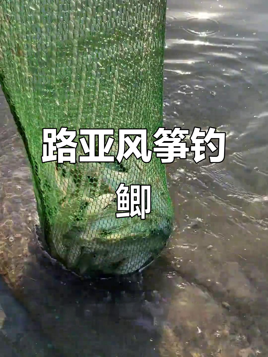 冬季路亚钓鲫,风筝钓组轻松搞定!