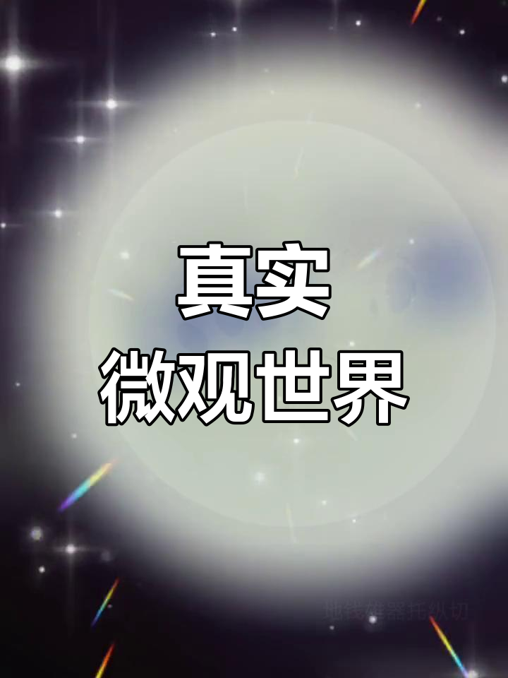 显微镜下的奇妙世界,闪耀切片展示