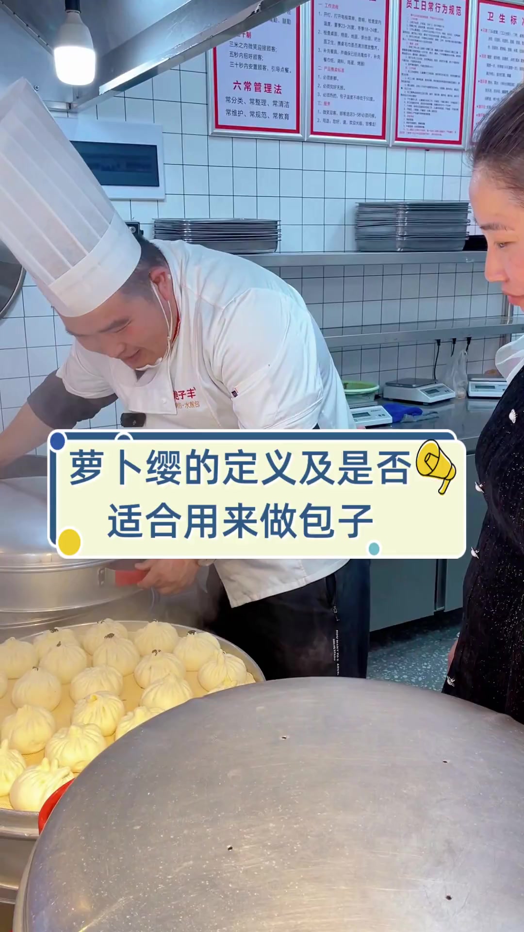 萝卜缨的定义及是否适合用来做包子