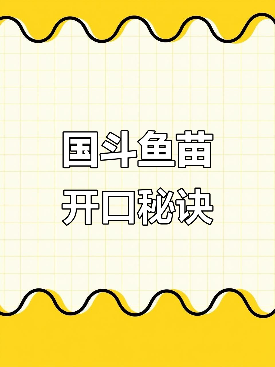 丰年虾开口饲料,斗鱼苗成长必备技巧