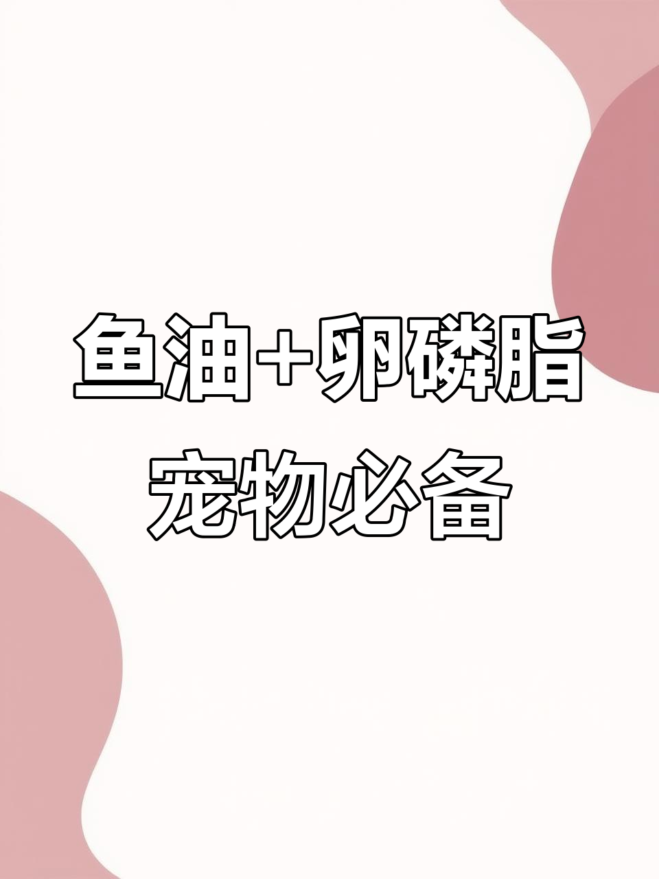 鱼油和卵磷脂让毛孩子毛发更亮丽,元宝的背毛超有光泽