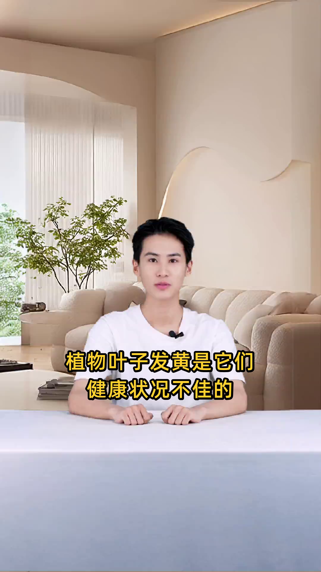 植物叶子变黄的可能原因是什么,如何进行防治?