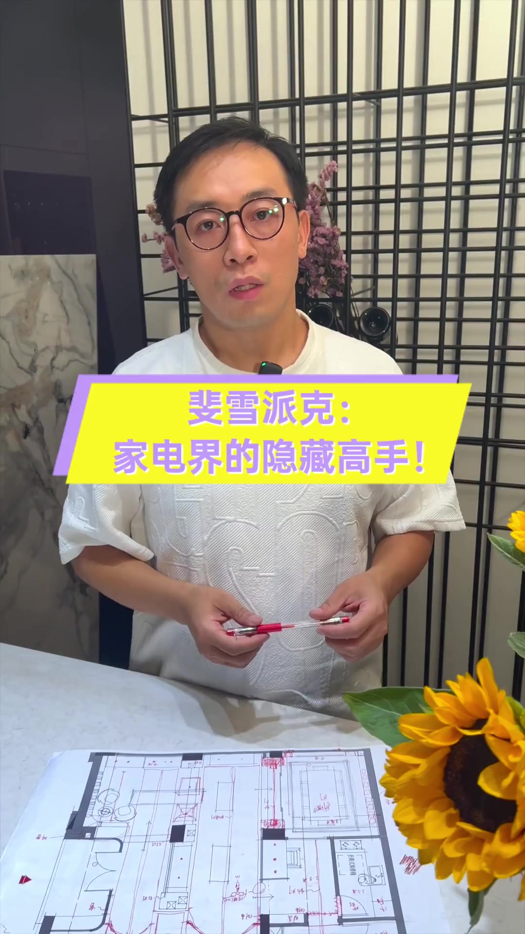 斐雪派克:家电界的隐藏高手!