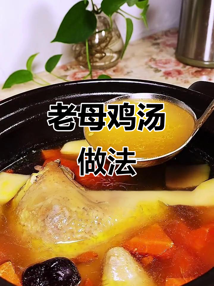 滋补老母鸡汤,炖出满满营养与鲜味