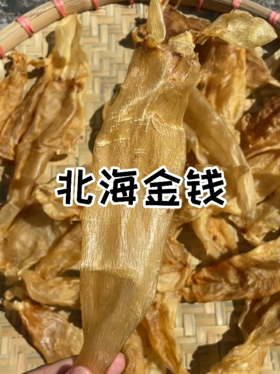 最不会踩坑的鱼胶品种之一北海金钱胶