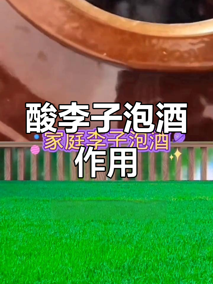 李子泡酒的功效与制作方法