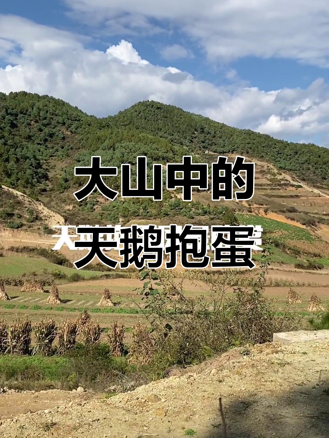 探秘大山深处,天鹅抱蛋与美景相伴
