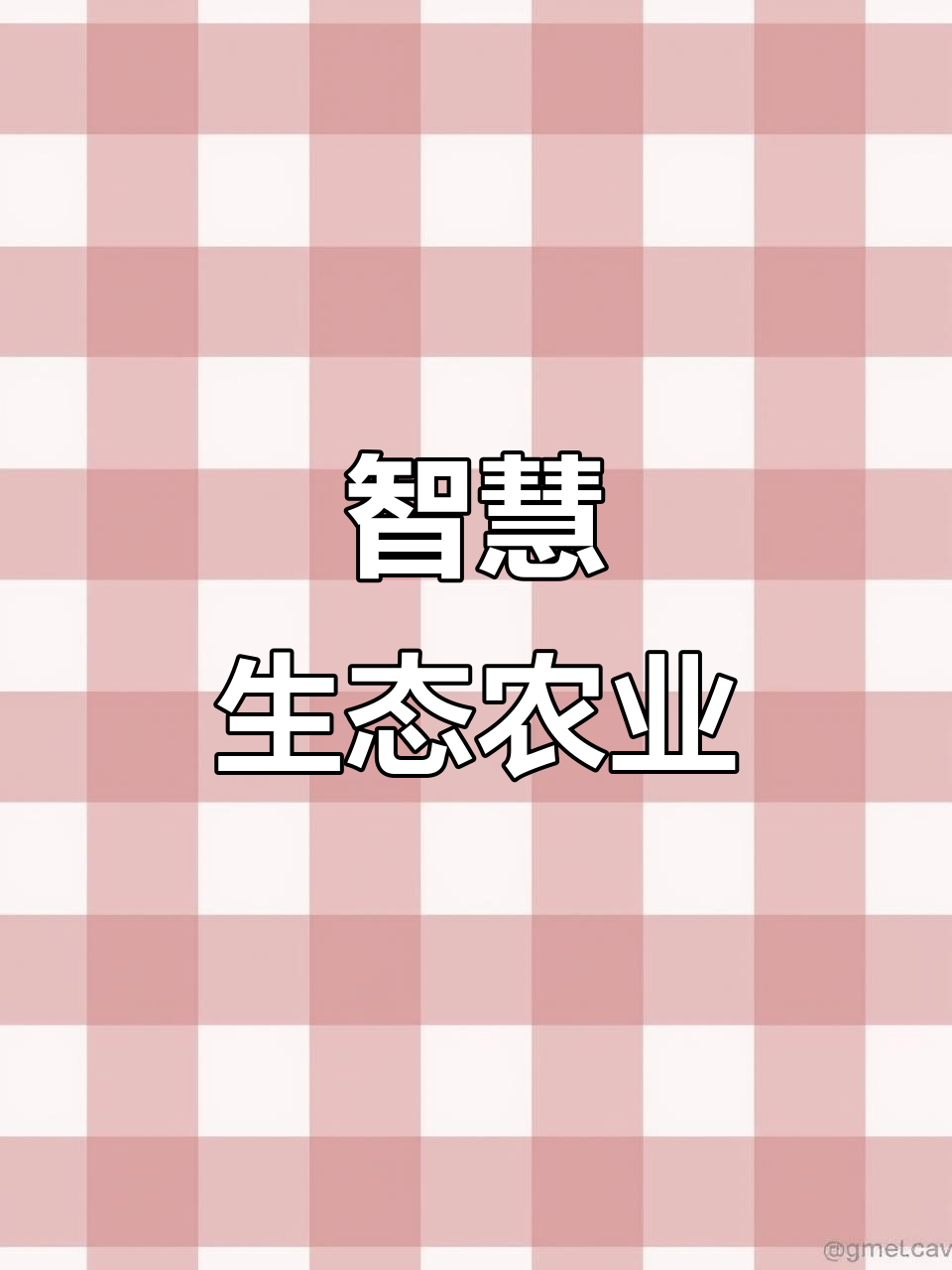走进青虾基地，感受智慧养殖与绿色发展的乡村振兴之路