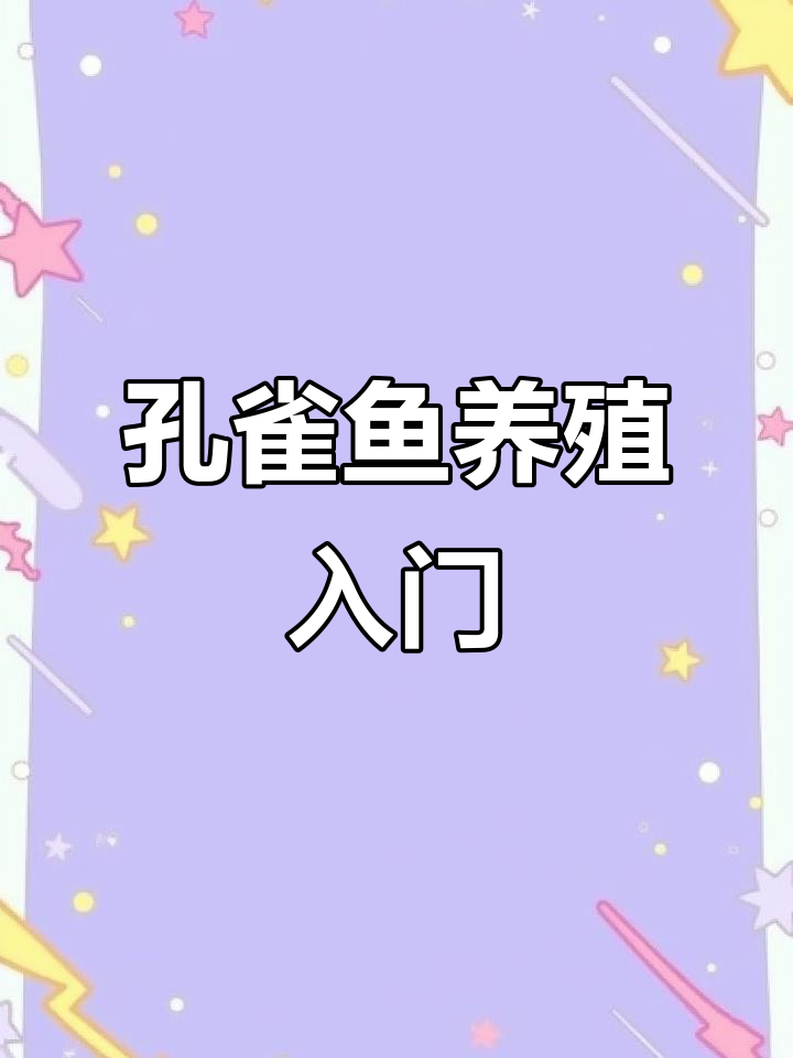 孔雀鱼养殖技巧:从小小种子到美丽凤尾的成长之路